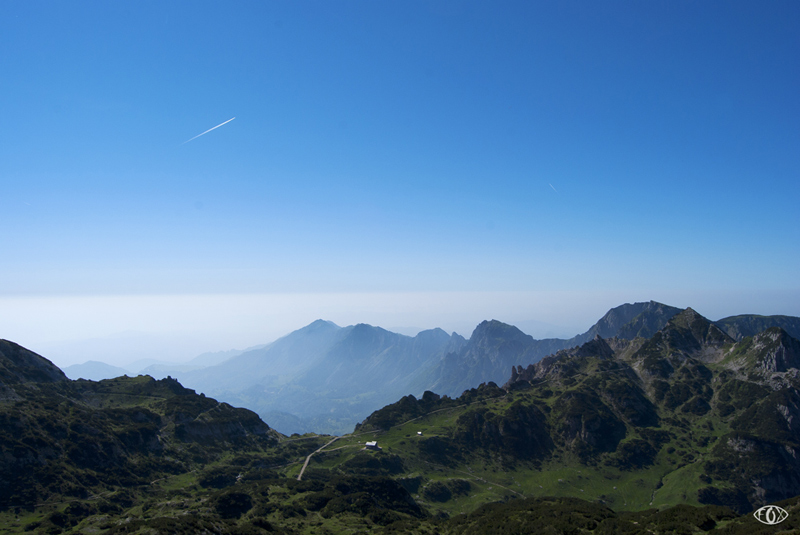 DSC_4410.jpg