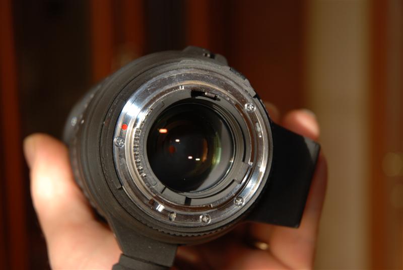 DSC_4730 (Medium).JPG