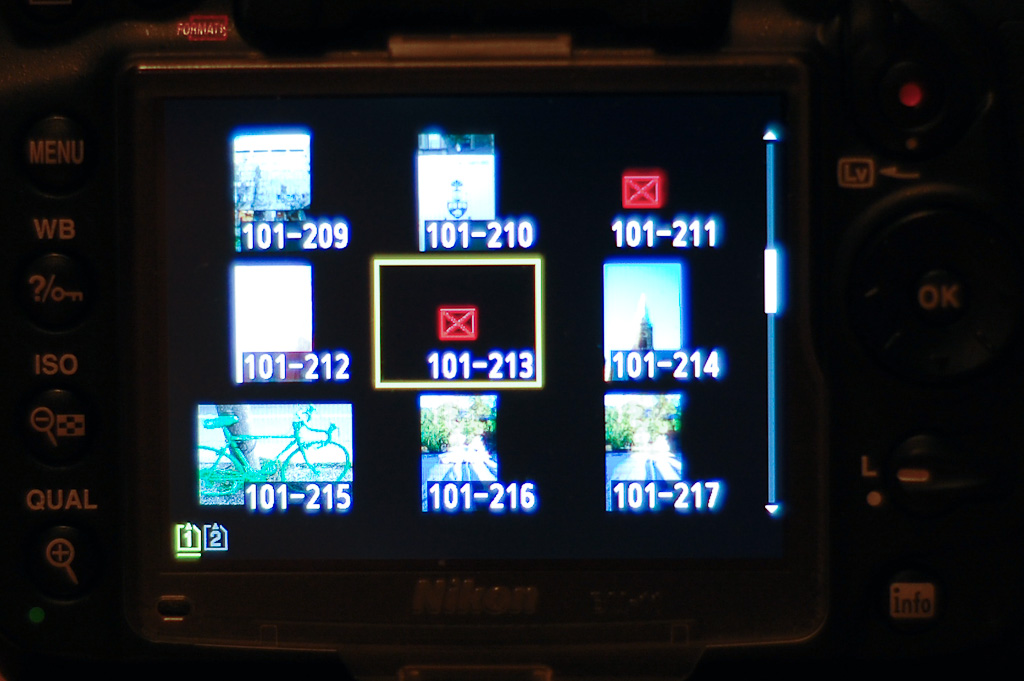 DSC_5144.jpg