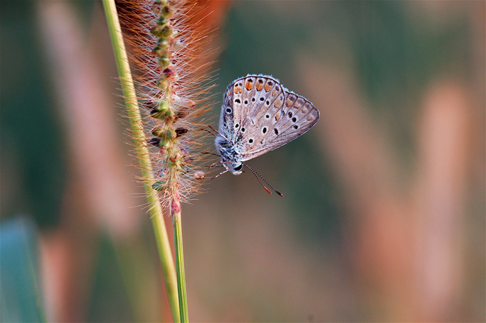 DSC_5156.jpg