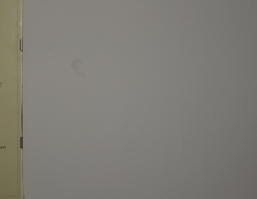 DSC_6273.jpg