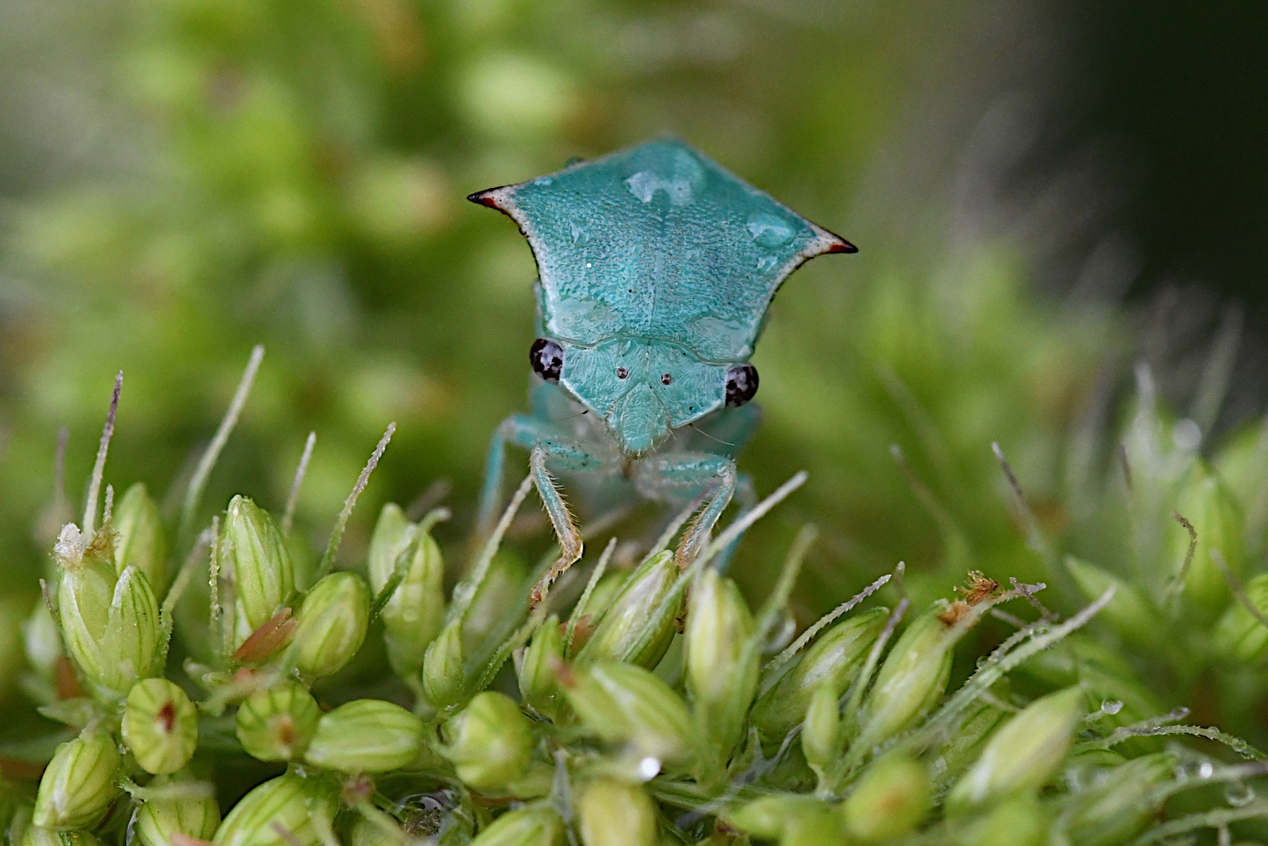 DSC_8301.jpg