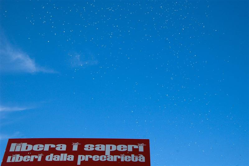 DSC_9062 (Custom).JPG