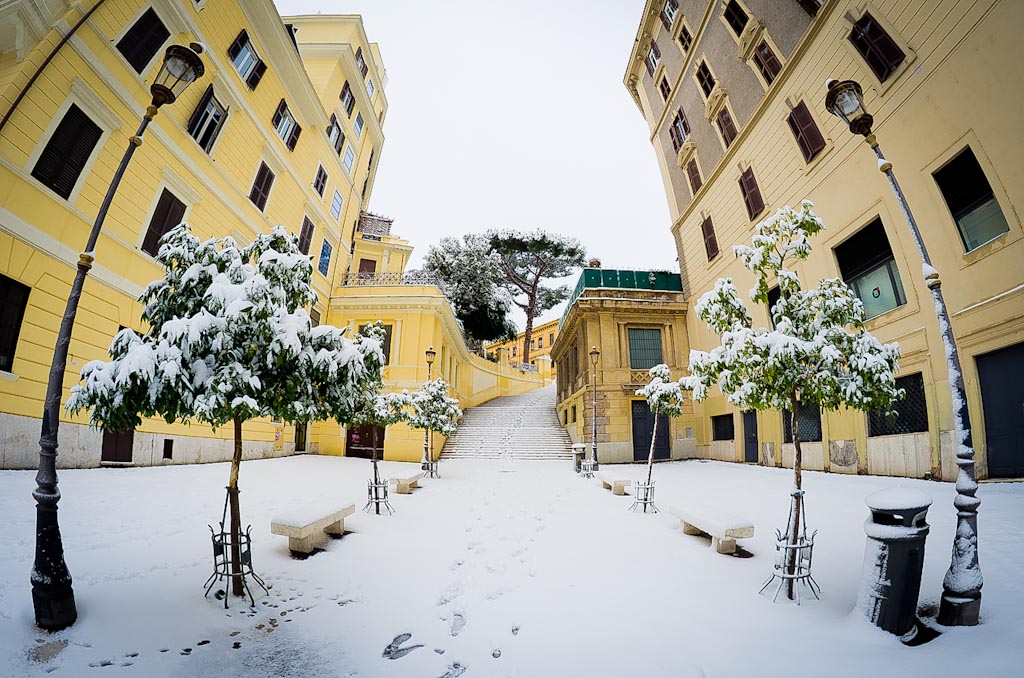 DSC_92074928 x 3264-2.jpg