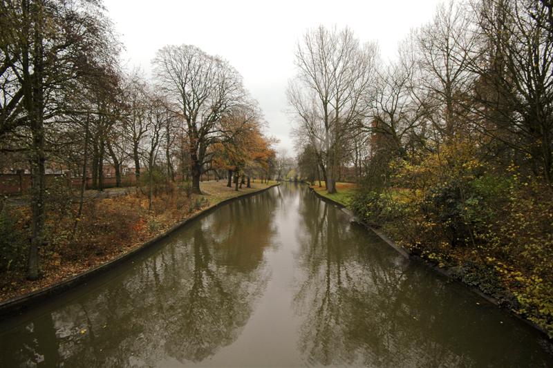 DSC_9382 (Custom).jpg