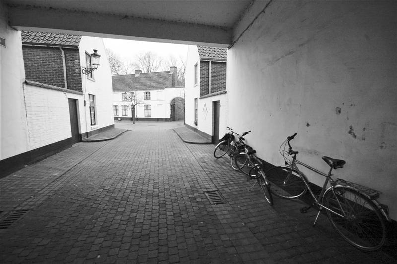 DSC_9386 (Medium).jpg