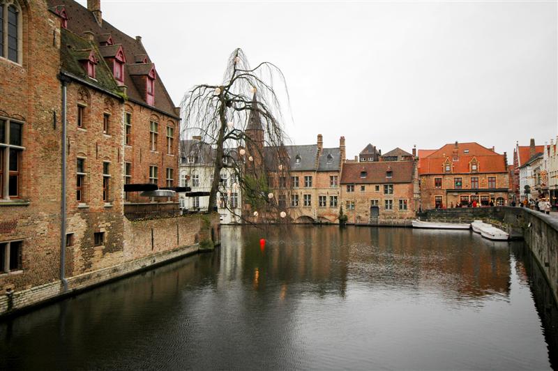 DSC_9400 (Custom).jpg