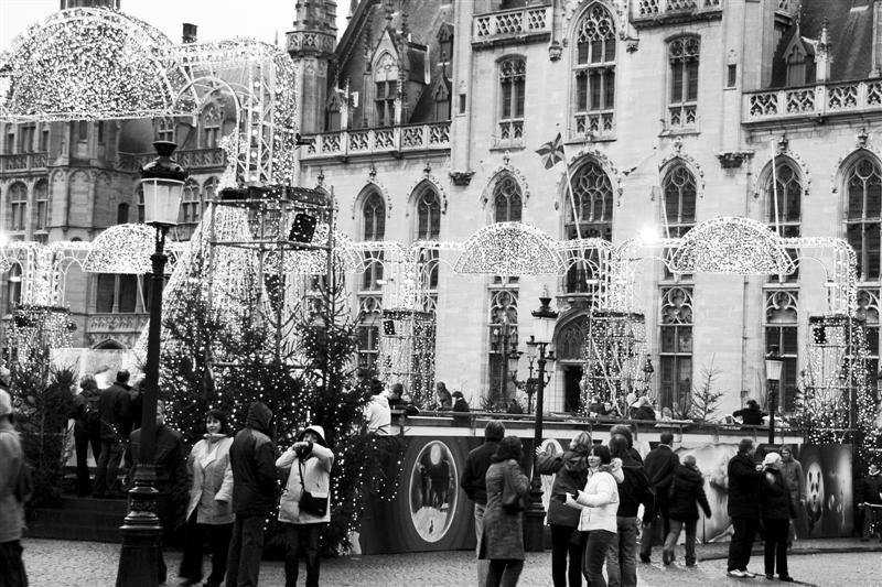 DSC_9412 (Medium).jpg