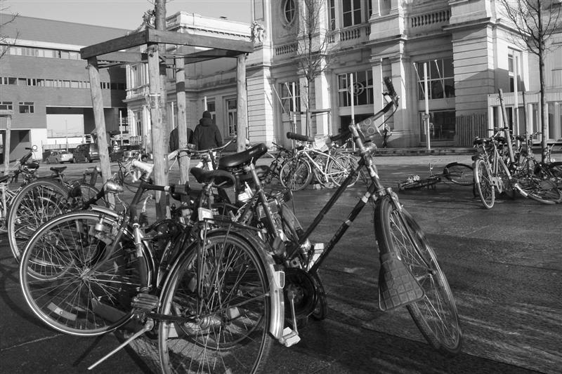 DSC_9449 (Medium).jpg