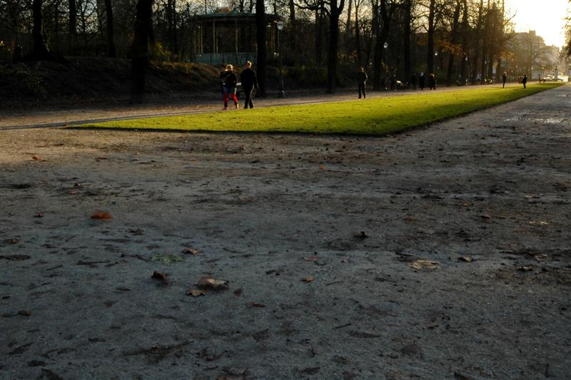 DSC_9491 (Custom).jpg