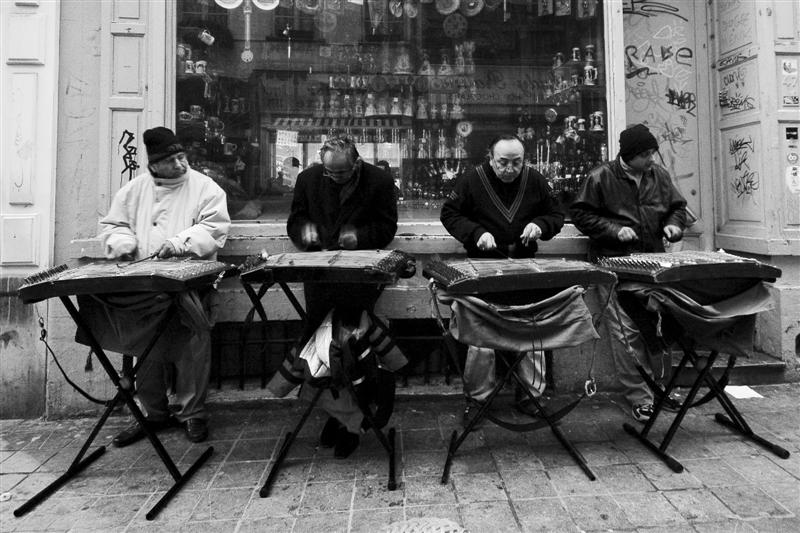 DSC_9510 (Medium).jpg