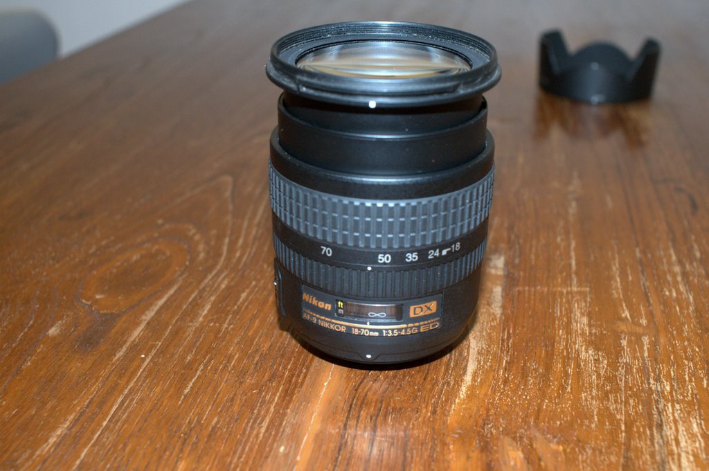 DSC_9585.NEF.jpg