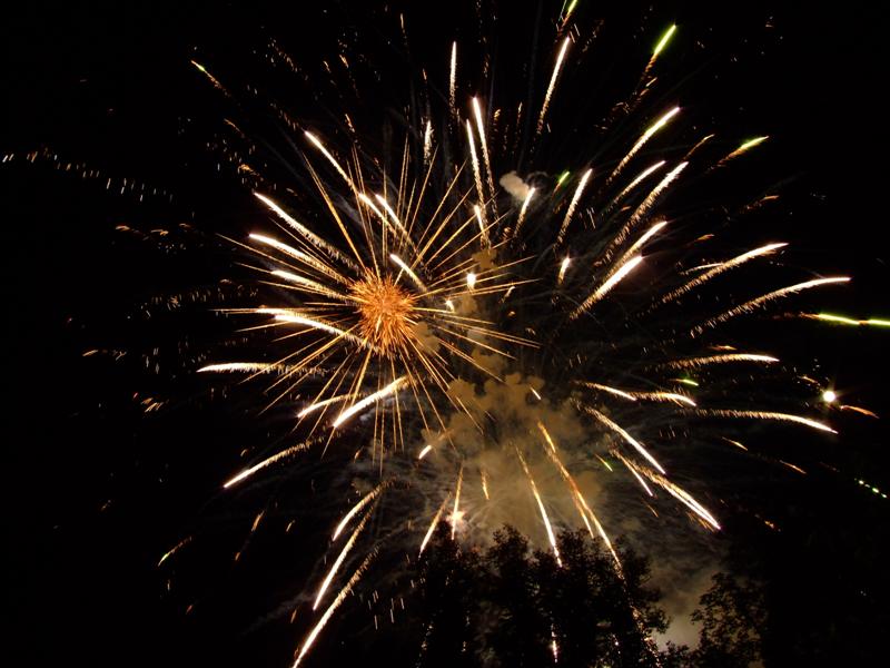 DSCF0101 (Medium).JPG