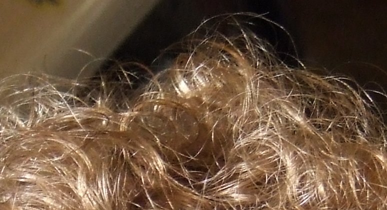DSCF0151.jpg