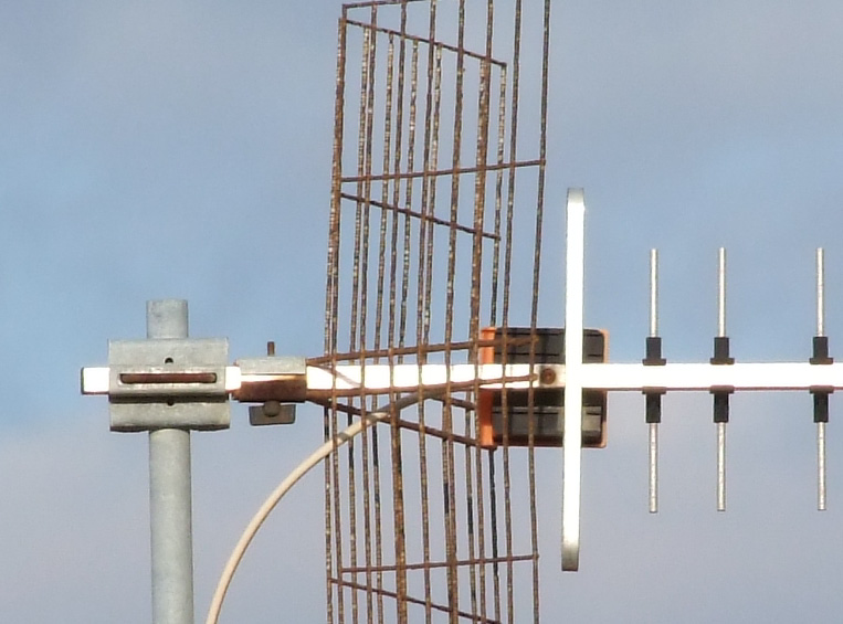 DSCF0366 crop 100%.jpg