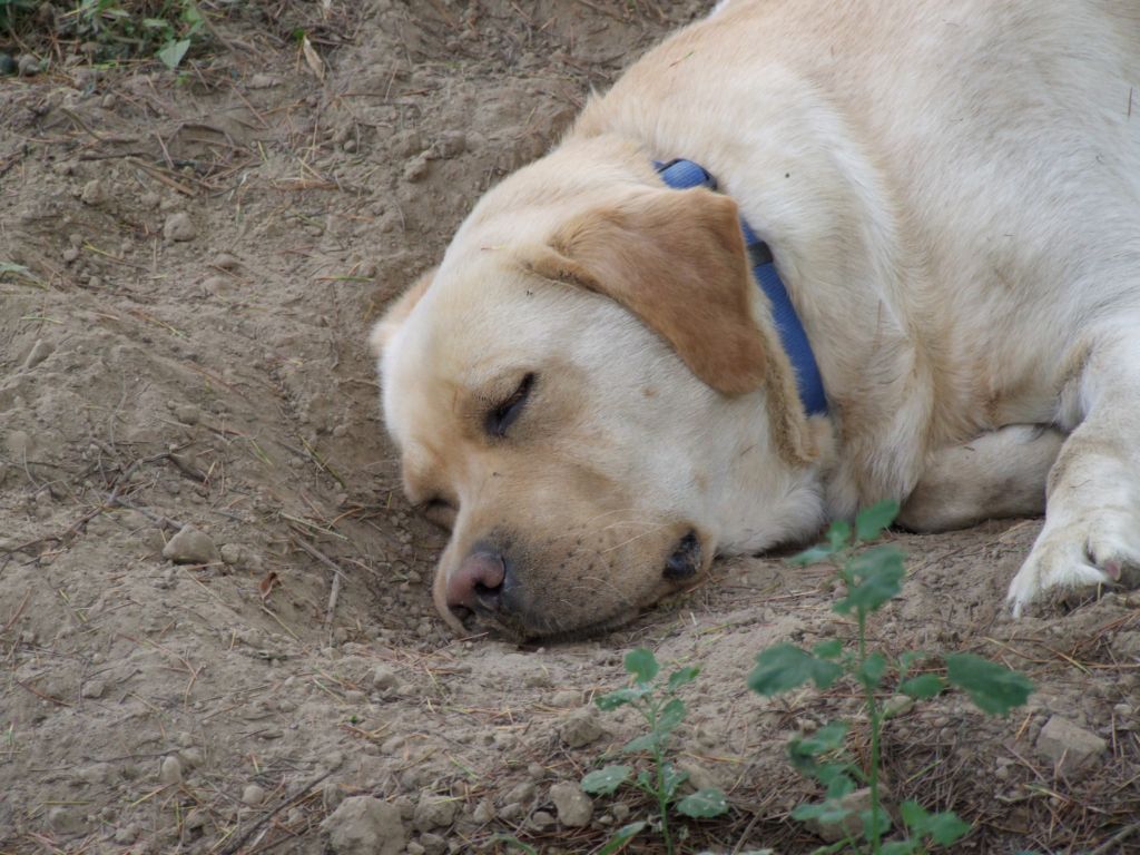 DSCF0718 1024 origin.jpg