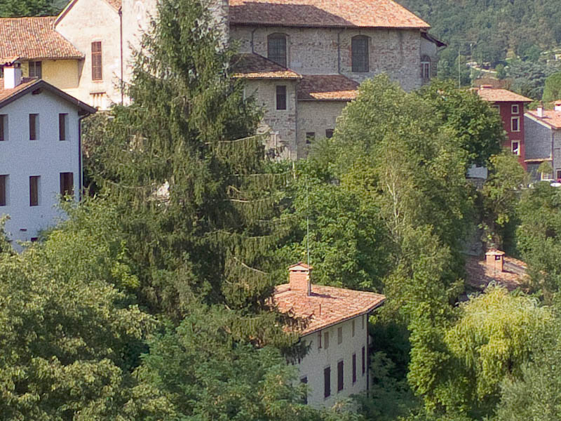 DSCF0945_crop.jpg