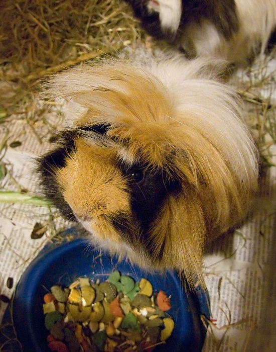 DSCF1252_c.jpg