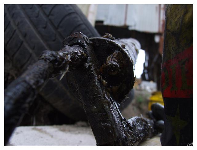 DSCF1883 (Small).jpg