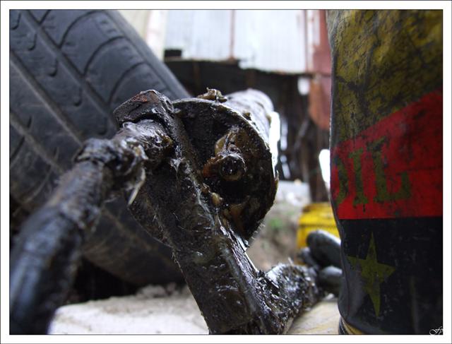 DSCF1884 (Small).jpg