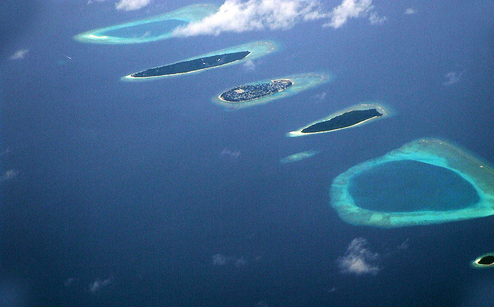 DSCF2541.jpg