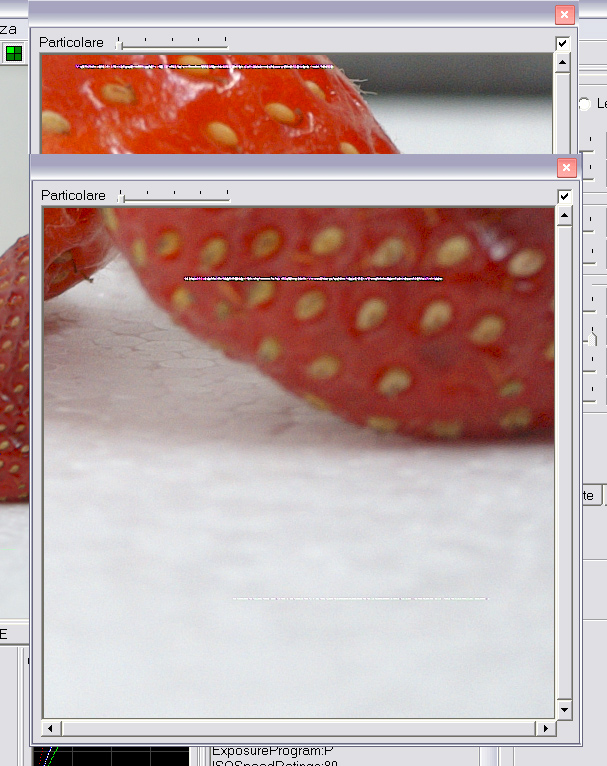 DSCF2845-s7raw.jpg