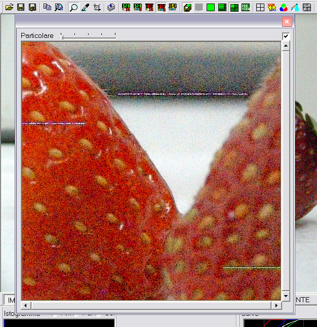 DSCF2846-s7raw.jpg
