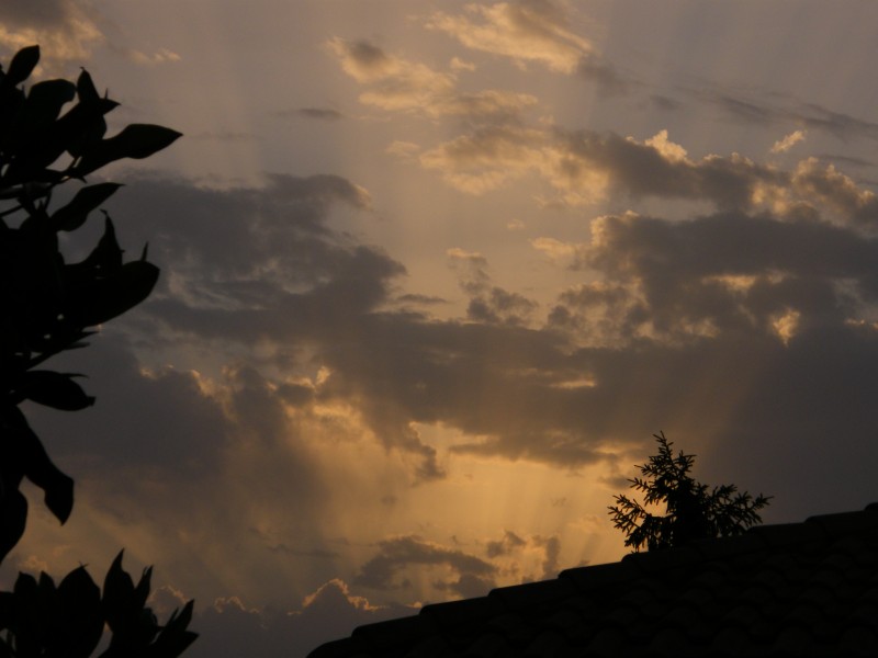 DSCF3922 rid.jpg