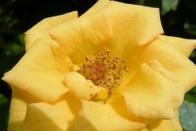 DSCF3990 rid.jpg