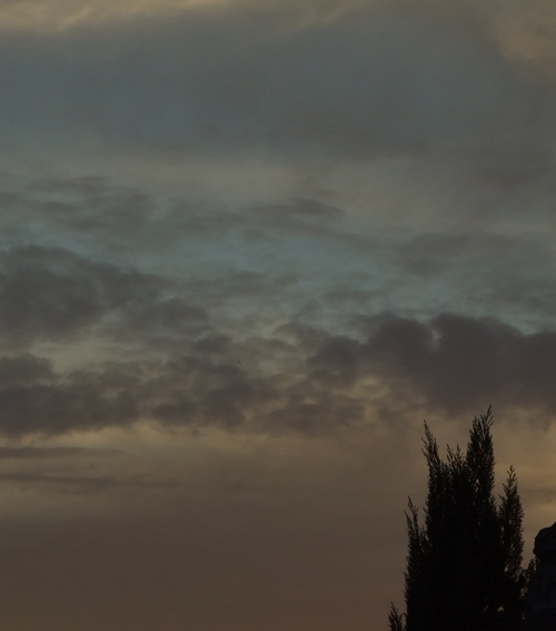 DSCF4356.jpg
