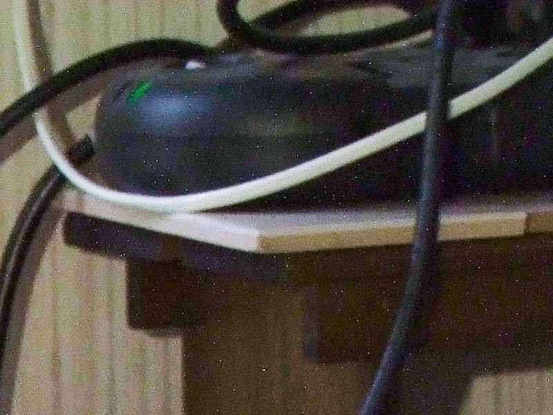 DSCF5304-cr2.jpg