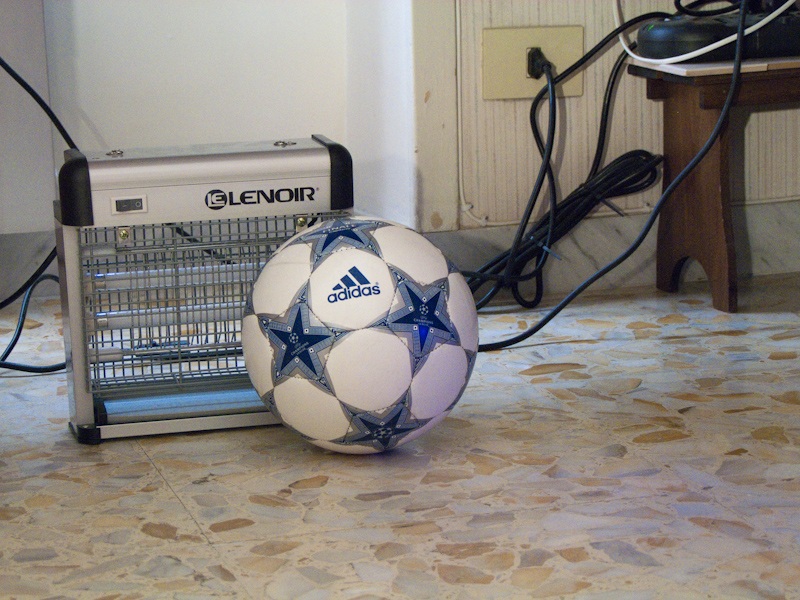 DSCF5305-800.jpg