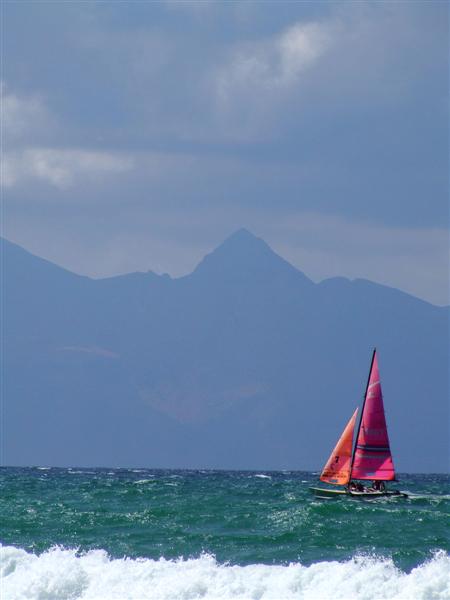 DSCF5964 (Medium).JPG