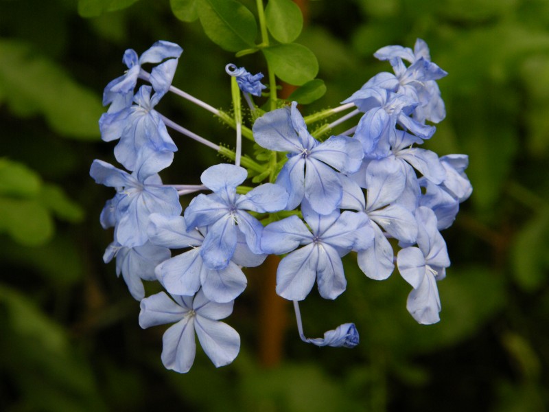 DSCF6622.JPG