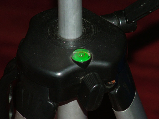 DSCF9520.jpg