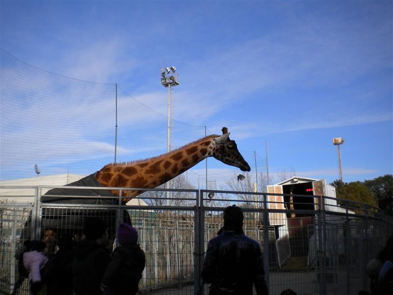 DSCN0194 (Medium).JPG