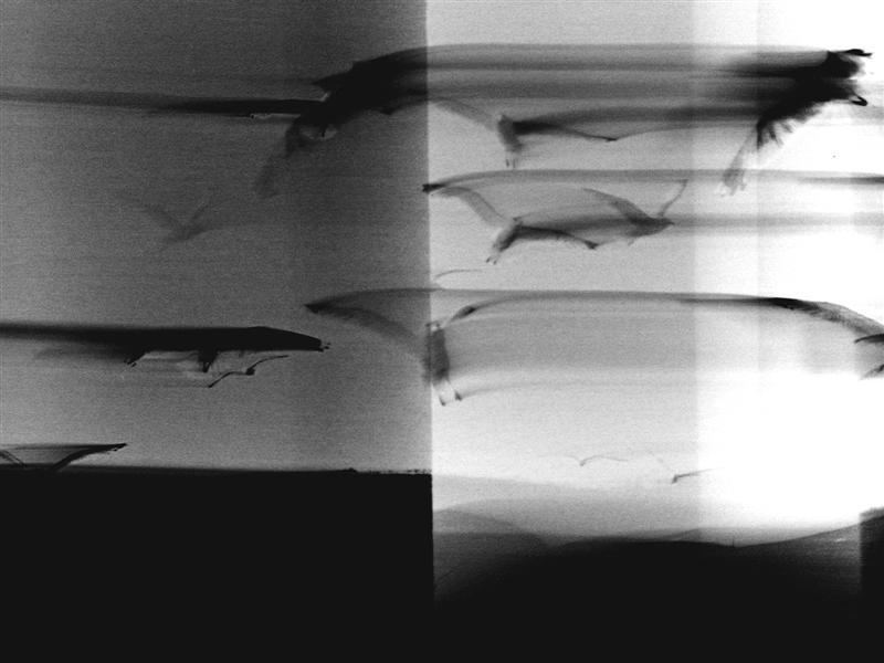 DSCN0756 (Medium).JPG