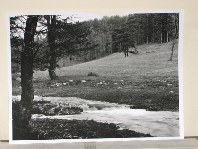 DSCN1600.JPG