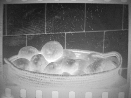 DSCN1622.JPG