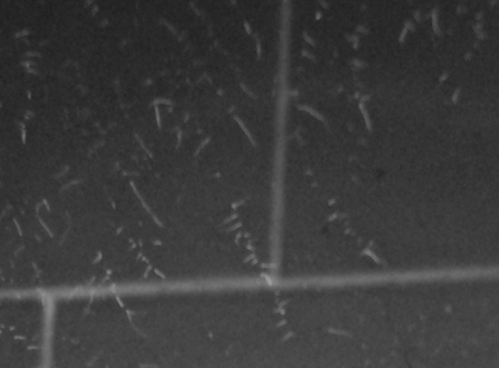 DSCN1623.JPG