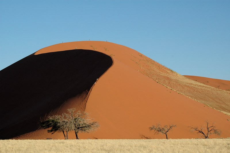 duna 45 (namibia 2006).JPG