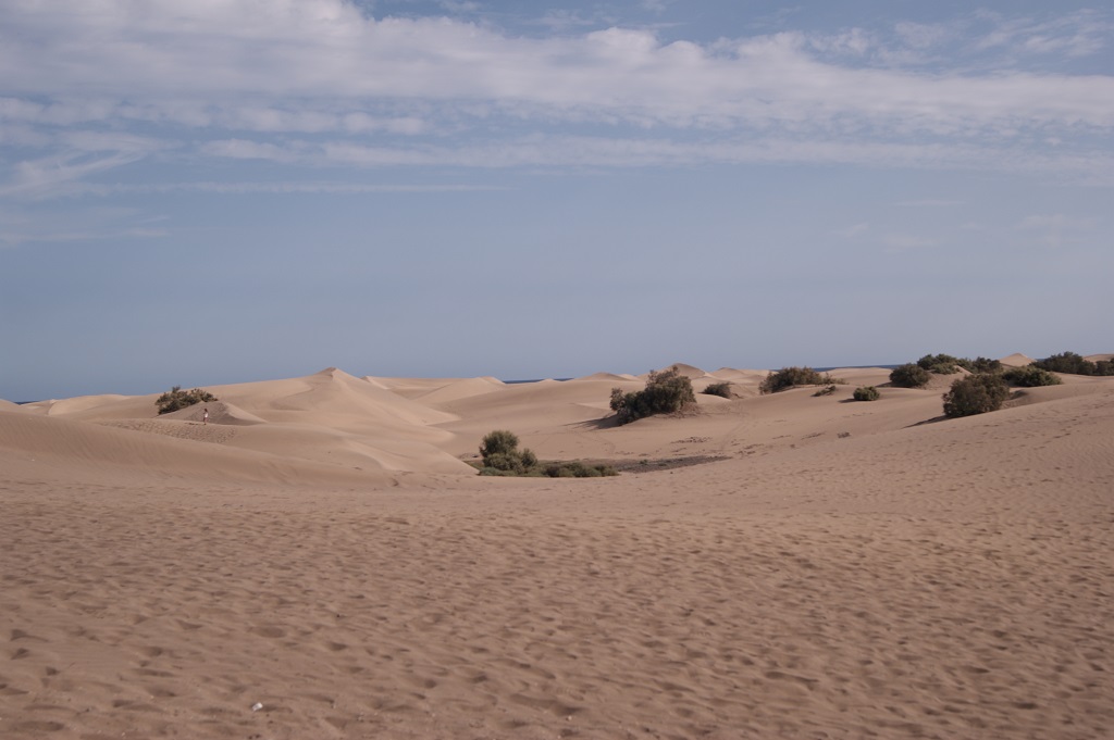 dune_2.jpg
