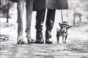 elliott_erwitt_dog_5.jpg