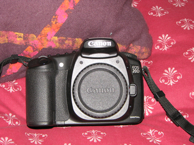 eos 20D1.jpg