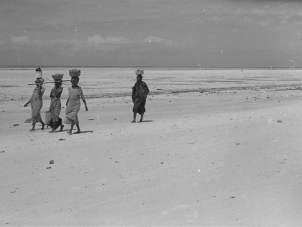 errorivari_151 crop.jpg