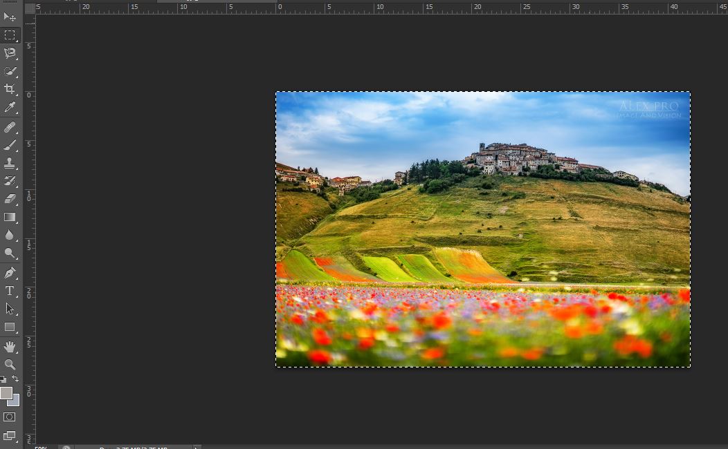 evidenzi la foto.JPG