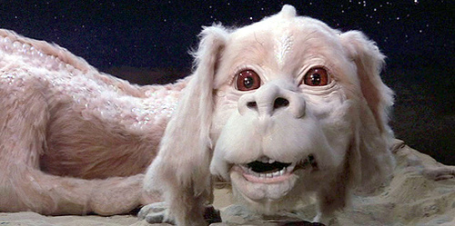 falkor.jpg