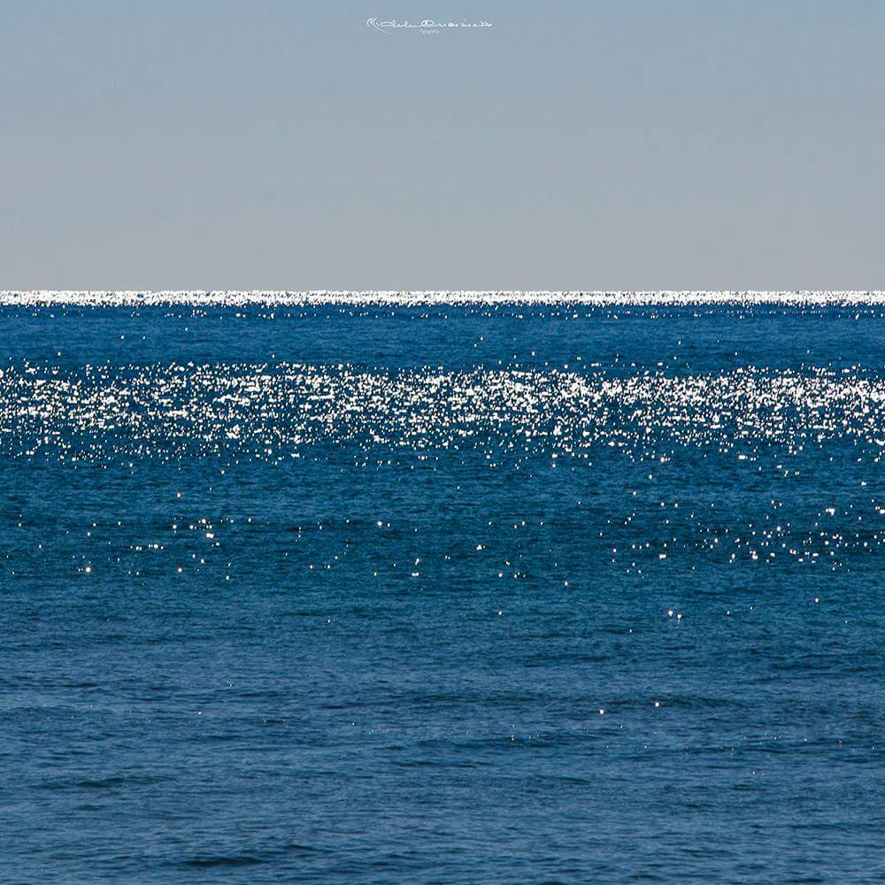 FB_IMG_1507536225316 (1).jpg