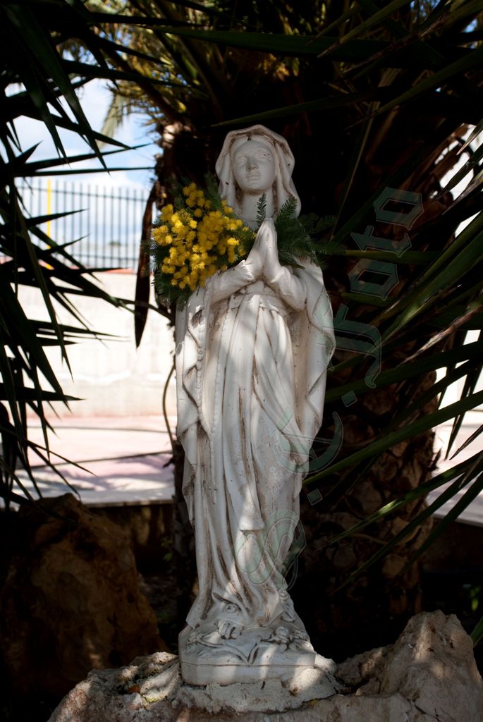 Festa della donna-9.jpg