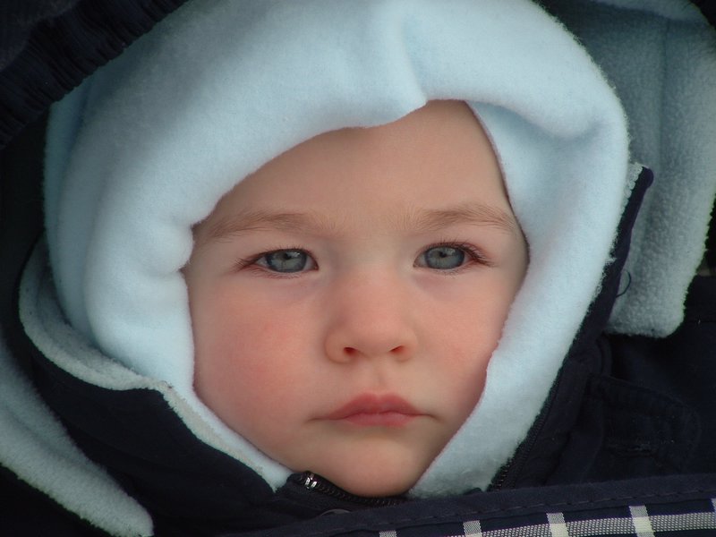 Fine 2005 202-1.jpg